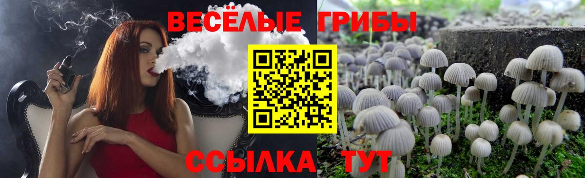 Лыткарино  Псилоцибиновые грибы прущие грибы  Вход с VPN  Галлюциногенные грибы Cubensis 